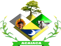 Acaiacarsbrasoes